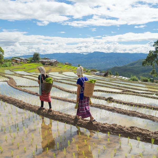 Thailand Adventure: Von Bergvölkern zum Inselhopping 