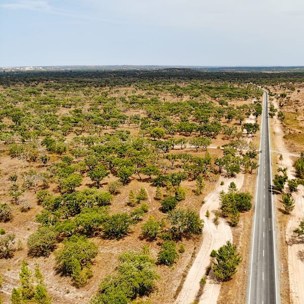 Explore Südportugal: Roadtrip zwischen Alentejo & Atlantik
