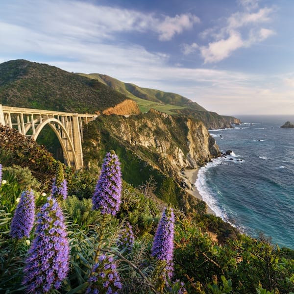 Explore California: Roadtrip Dreams & National Wonders!