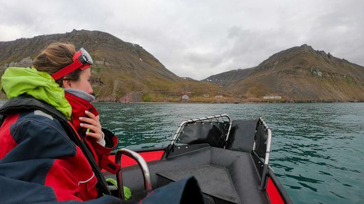 Sea-Safari durch die Dingle Bay thumbnail